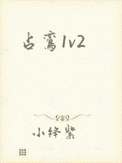 占鸾1v2