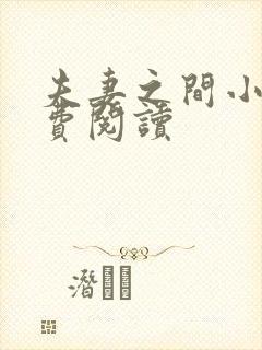 夫妻之间小说免费阅读