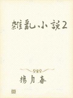 杂乱小说2