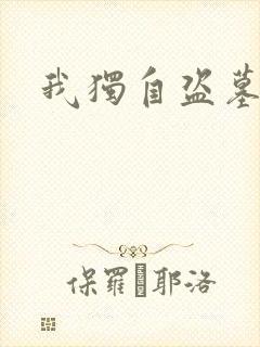 我独自盗墓