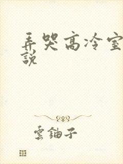 弄哭高冷室友小说