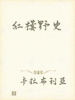 红楼野史