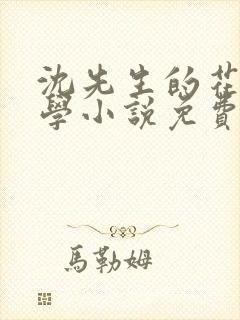 沈先生的花式教学小说免费