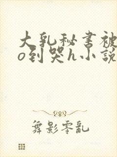 大乳秘书被cao到哭h小说