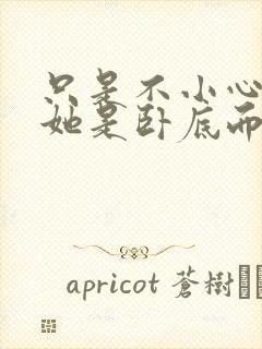 只是不小心发现她是卧底而已