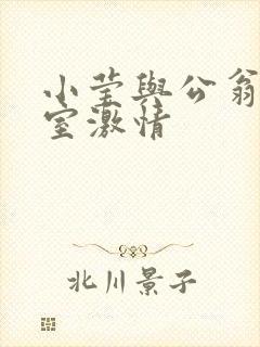 小莹与公翁办公室激情