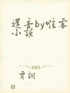 迟音by唯雾的小说