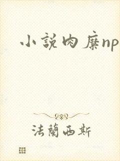 小说肉糜np