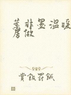 叶非墨温暖在厨房做