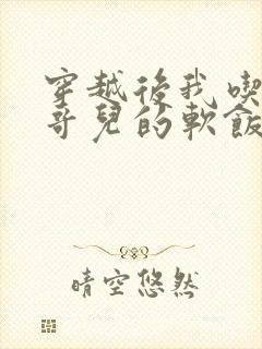 穿越后我吃到了哥儿的软饭炉山灰