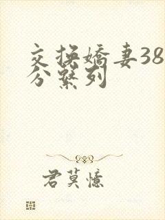 交换娇妻38部分系列