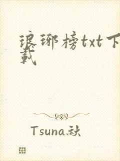 琅琊榜txt下载封面