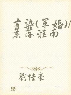 有染(军婚)/叶落淮南