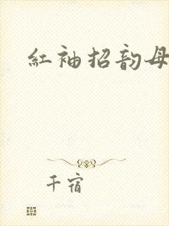 红袖招韵母攻略