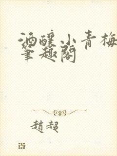 酒酿小青梅po笔趣阁