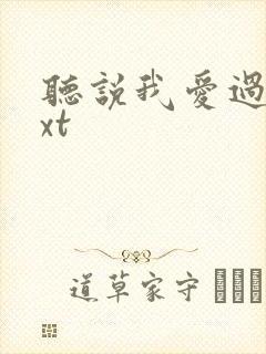 听说我爱过你txt