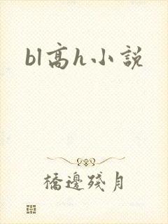 bl高h小说
