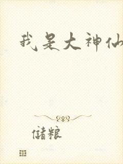 我是大神仙小说