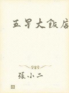 五星大饭店小说