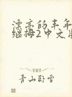 漂亮的丰年经的继拇2中文版