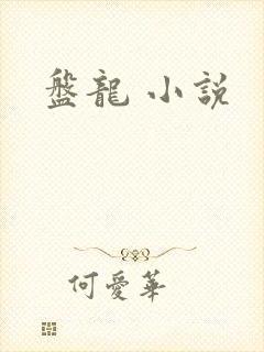 盘龙 小说