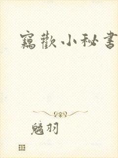窃欢小秘书