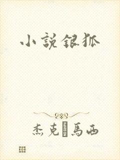 小说银狐