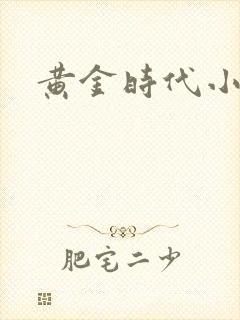 黄金时代小说