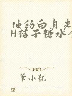 他的白月光HVH桔子糖水全文
