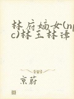 林府嫡女(npc)林玉林璋