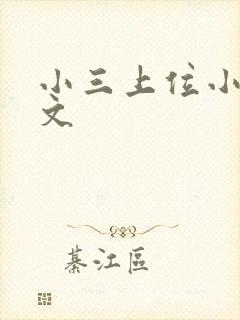 小三上位小说全文