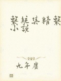 系统集精系统 小说