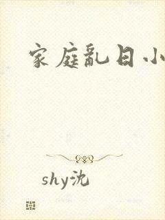 家庭乱日小说