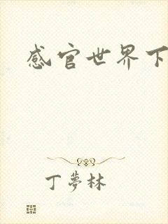 感官世界下载
