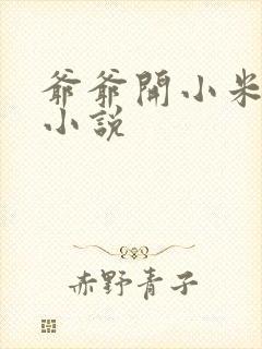 爷爷开小米的包小说