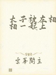 太子被左相和右相一起上