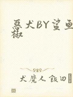 恶犬BY鲨鱼辣椒