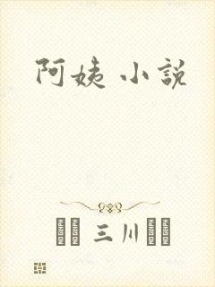 阿姨 小说