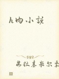 h肉小说