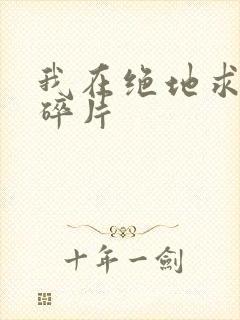 我在绝地求生捡碎片