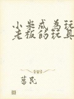 小米成为玩具店老板的玩具