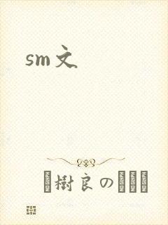 sm文