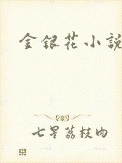 金银花小说乐可