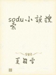 sodu小说搜索