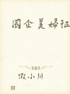 国企美妇征途