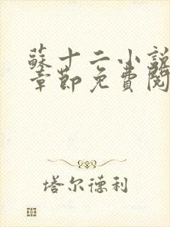 苏十二小说最新章节免费阅读下载