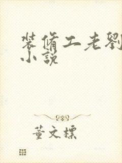 装修工老刘林雪小说