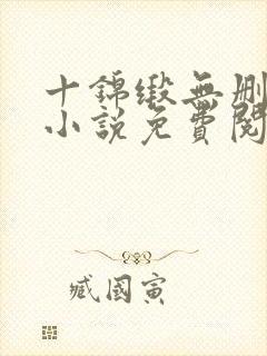 十锦缎无删原著小说免费阅读