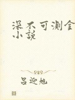 深不可测金银花小说