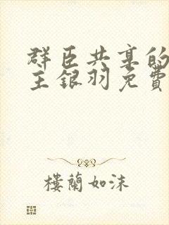 群臣共享的小公主银羽免费阅读